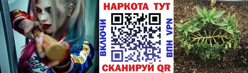 Сколько стоит Красногорск Каннабис A-PVP ГАШ Мефедрон