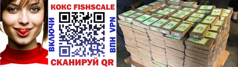 shop как зайти  Красногорск  Кокаин Эквадор 