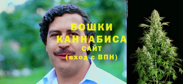 метадон Заводоуковск