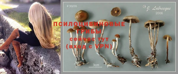 соль ск Елизово