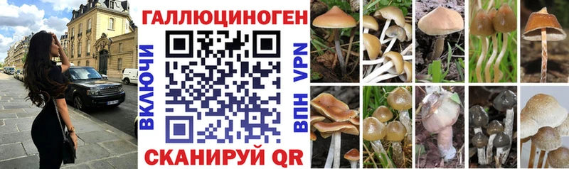 цены   hydra рабочий сайт  Галлюциногенные грибы Cubensis  Красногорск 